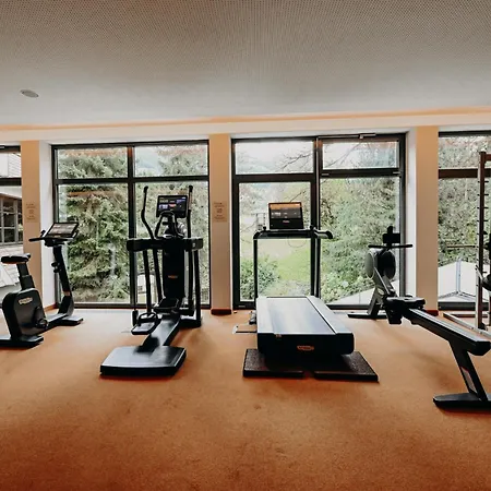 Hotel Sonngastein 4*